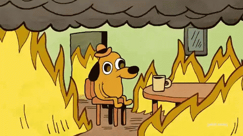this is fine everything is fine