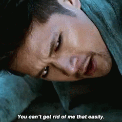 you can't get rid of me that easily shadowhunters